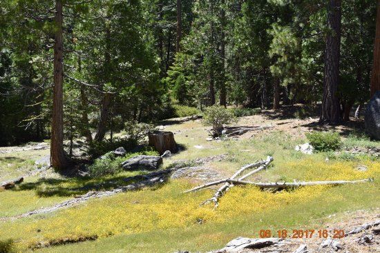 Eldorado National Forest